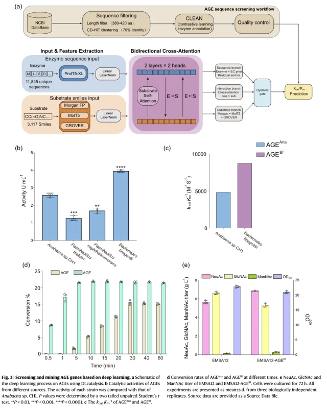 DLcatalysis의 효소 후보 선별 흐름과 후보들의 촉매 활성·전환·생산량 비교를 담은 원본 Figure 3이다. 각 패널의 실험 조건은 서로 구분해야 하며 전체 생산 개선을 AI 단독 효과로 읽지 않는다.