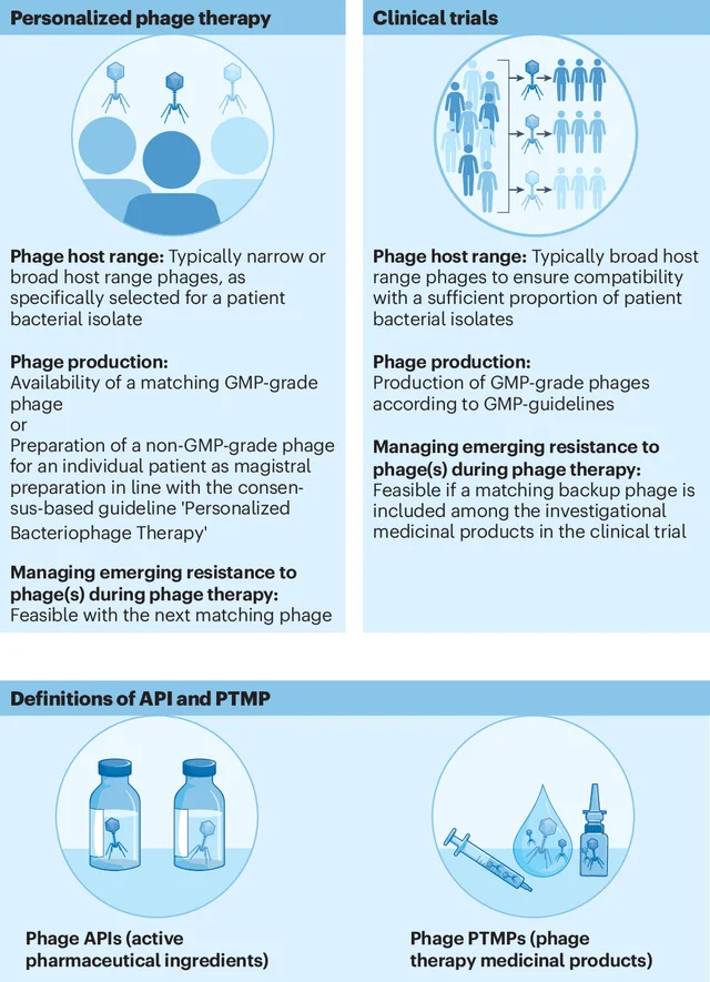 PHAGE 원문 Figure 1. 맞춤형 사용과 임상시험의 경로, 파지 유효성분 API와 최종 치료 제품 PTMP의 관계를 보여준다. 본문의 역할표에서 제품 준비와 임상 효과 평가를 나누어 읽는다.