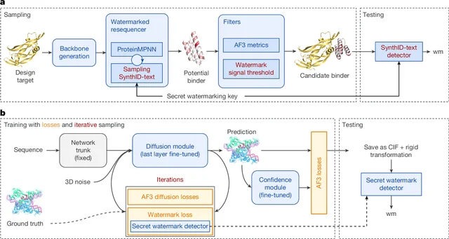 SynthID Bio 원논문 Figure 1: 위쪽은 단백질 서열 생성과 검출, 아래쪽은 AlphaFold 3 예측 구조 워터마크의 학습과 검출 흐름